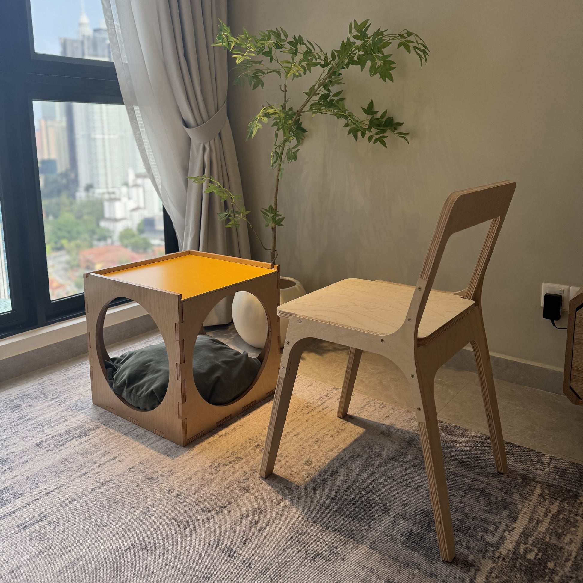 Modern interior with a cat bed, plant, and chair near a window.